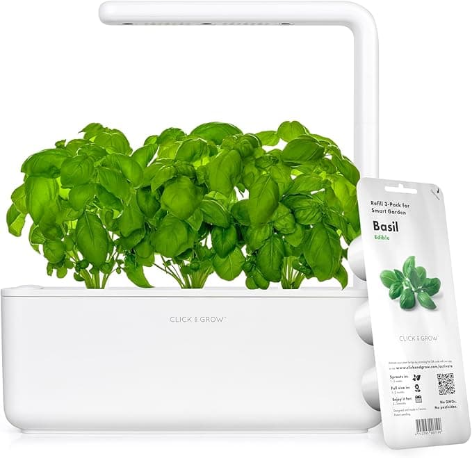 Click & Grow Smart Garden in white growing basil on a kitchen counter