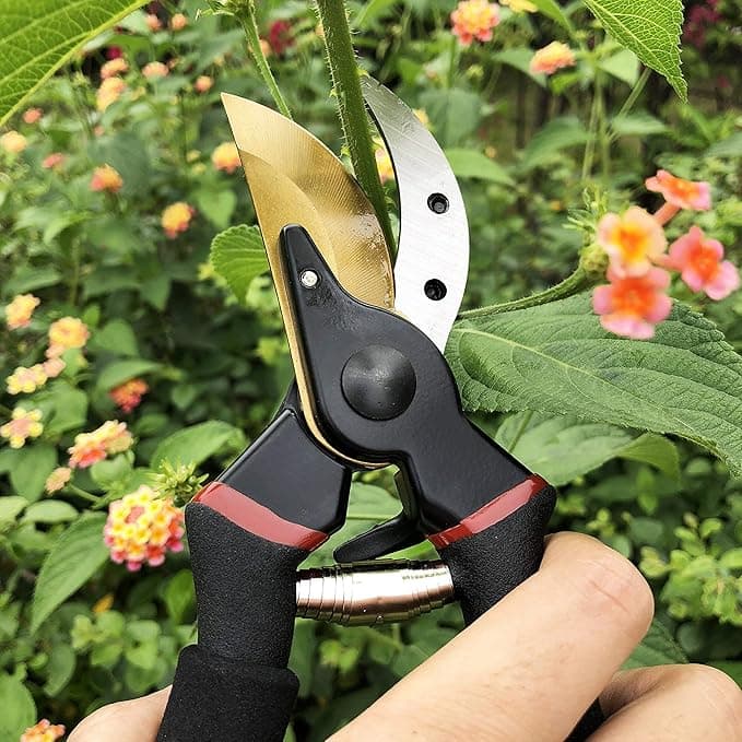 gonicc 8" Professional Premium Titanium Bypass Pruning Shears (GPPS-1003), Hand Pruners, Garden Clippers - Pruning Tools gardening gift